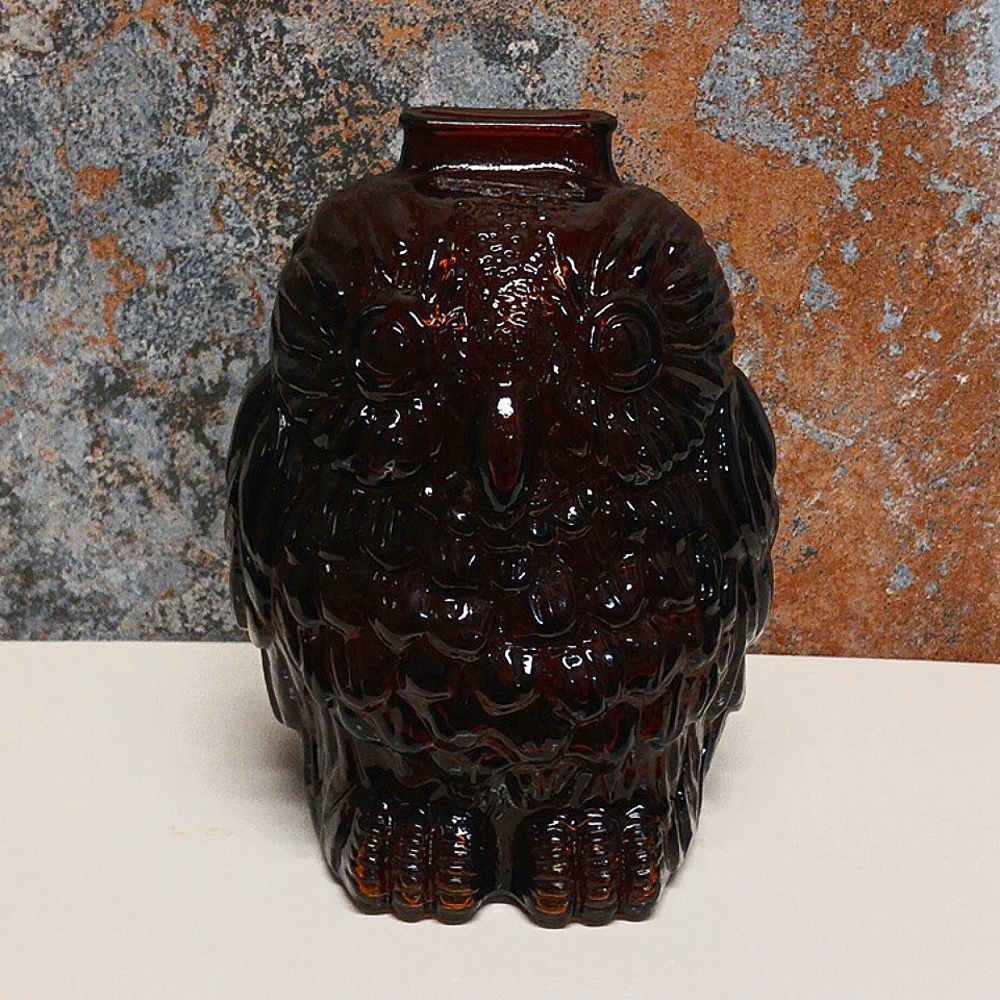 Wise Old Owl Coin Bank